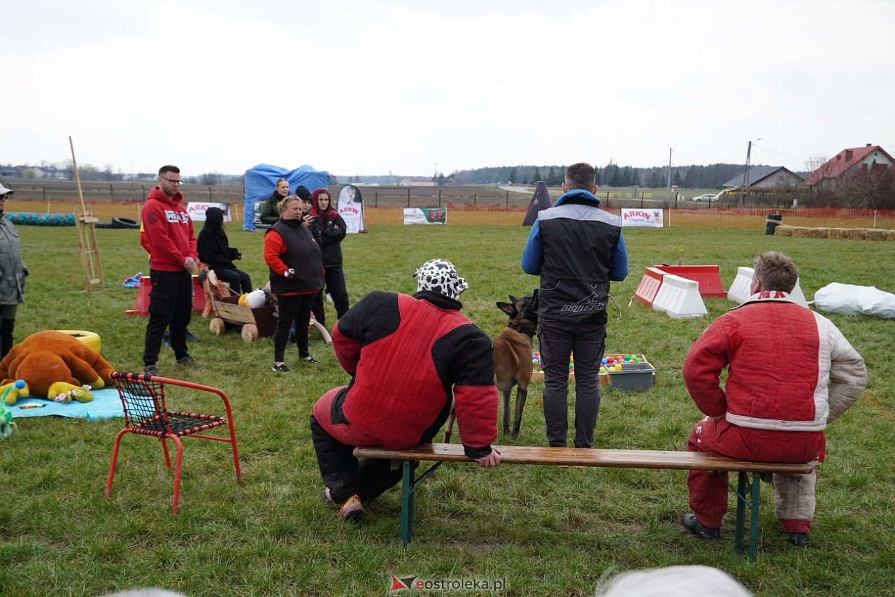 Podwójne zawody mondioringowe Wiosno, gdzie jesteś? w Przytułach Starych [30.03.2025] - zdjęcie #18 - eOstroleka.pl