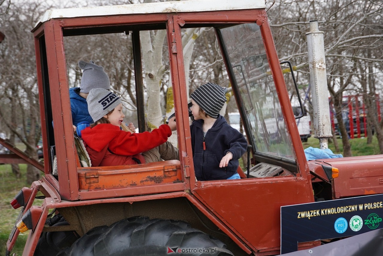 Podwójne zawody mondioringowe Wiosno, gdzie jesteś? w Przytułach Starych [30.03.2025] - zdjęcie #16 - eOstroleka.pl