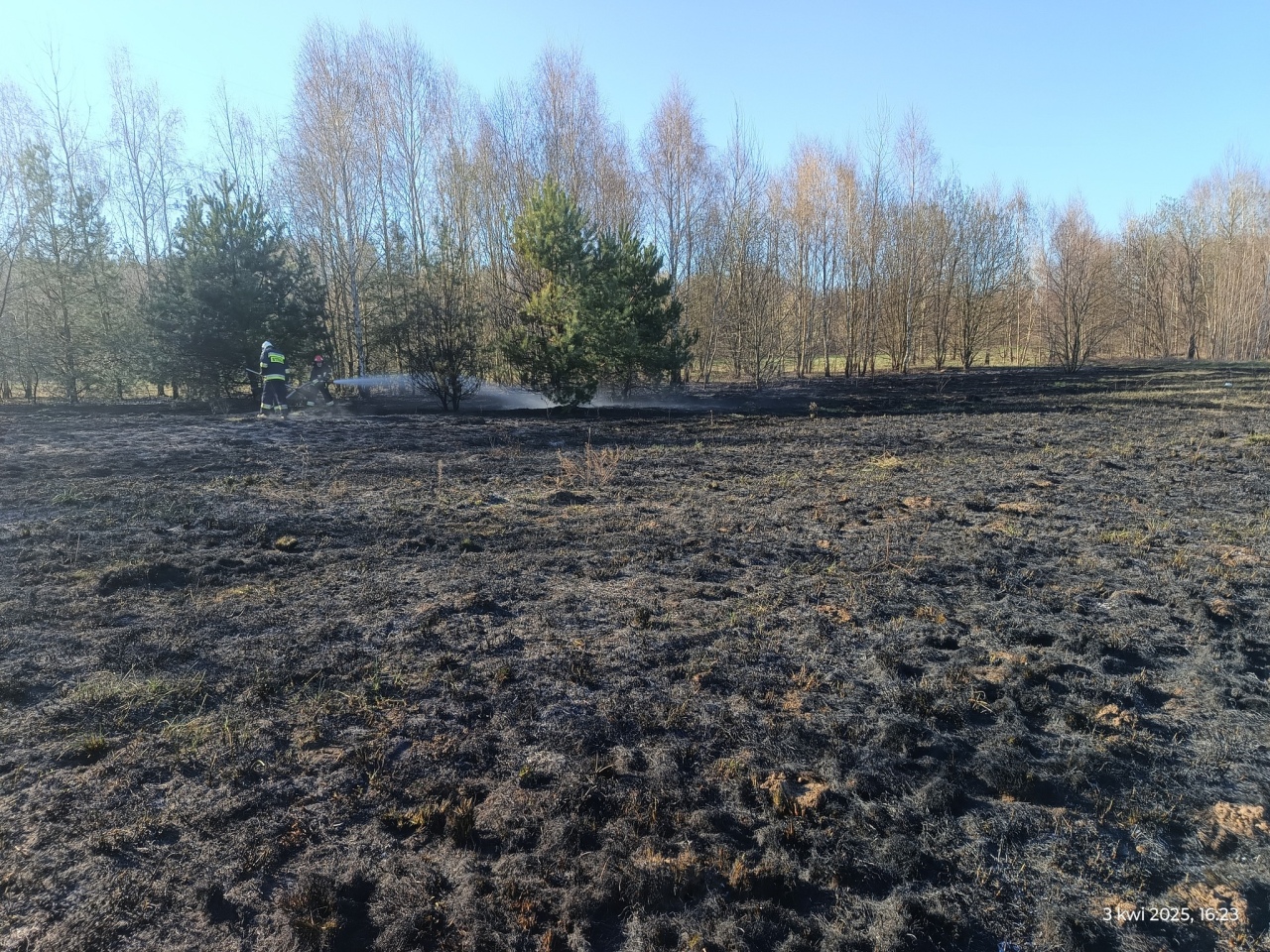 Ogromny pożar traw w Pasiekach [03.04.2025] - zdjęcie #6 - eOstroleka.pl