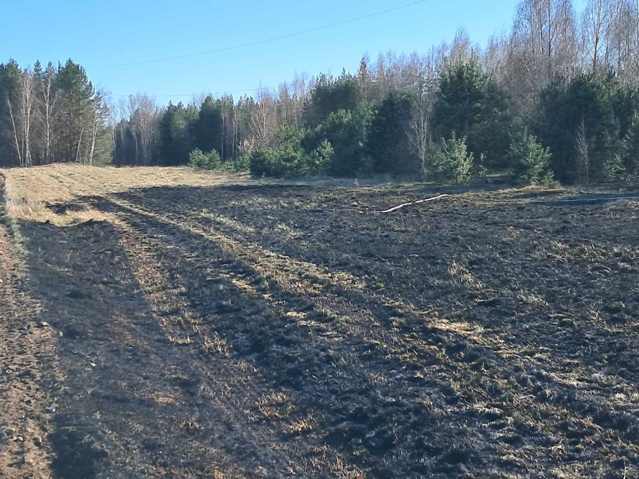 Ogromny pożar traw w Pasiekach [03.04.2025] - zdjęcie #4 - eOstroleka.pl
