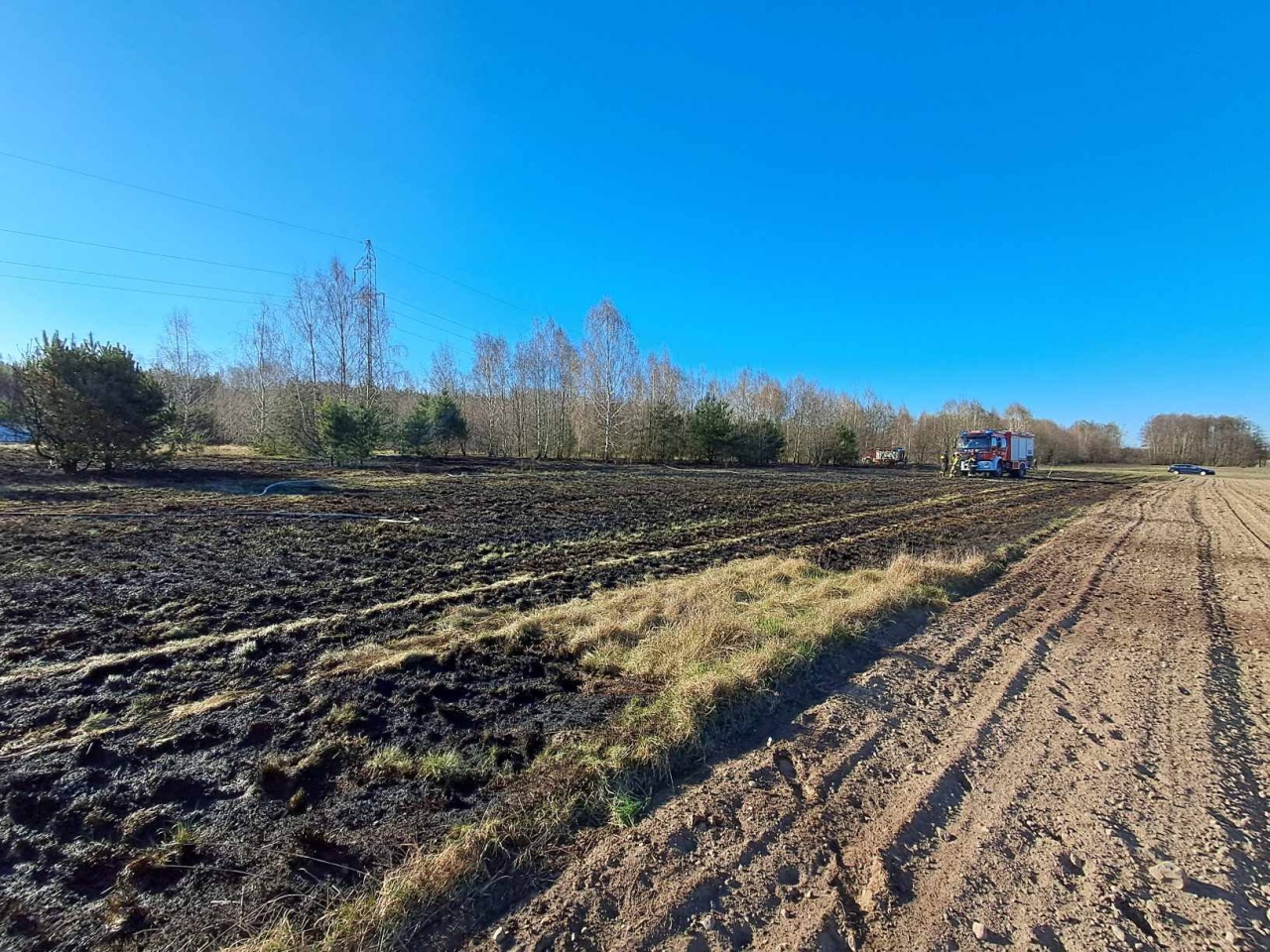 Ogromny pożar traw w Pasiekach [03.04.2025] - zdjęcie #3 - eOstroleka.pl