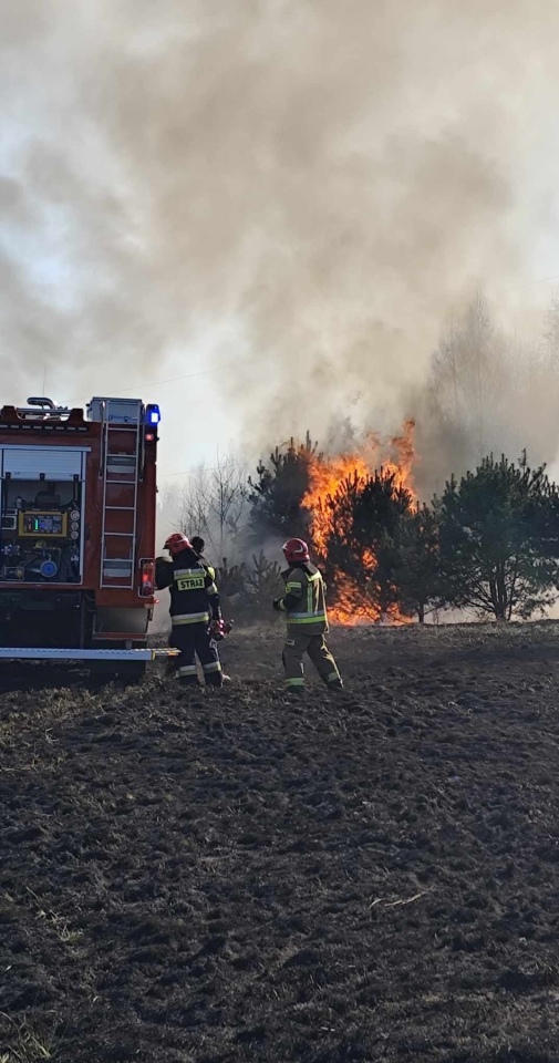 Ogromny pożar traw w Pasiekach [03.04.2025] - zdjęcie #1 - eOstroleka.pl