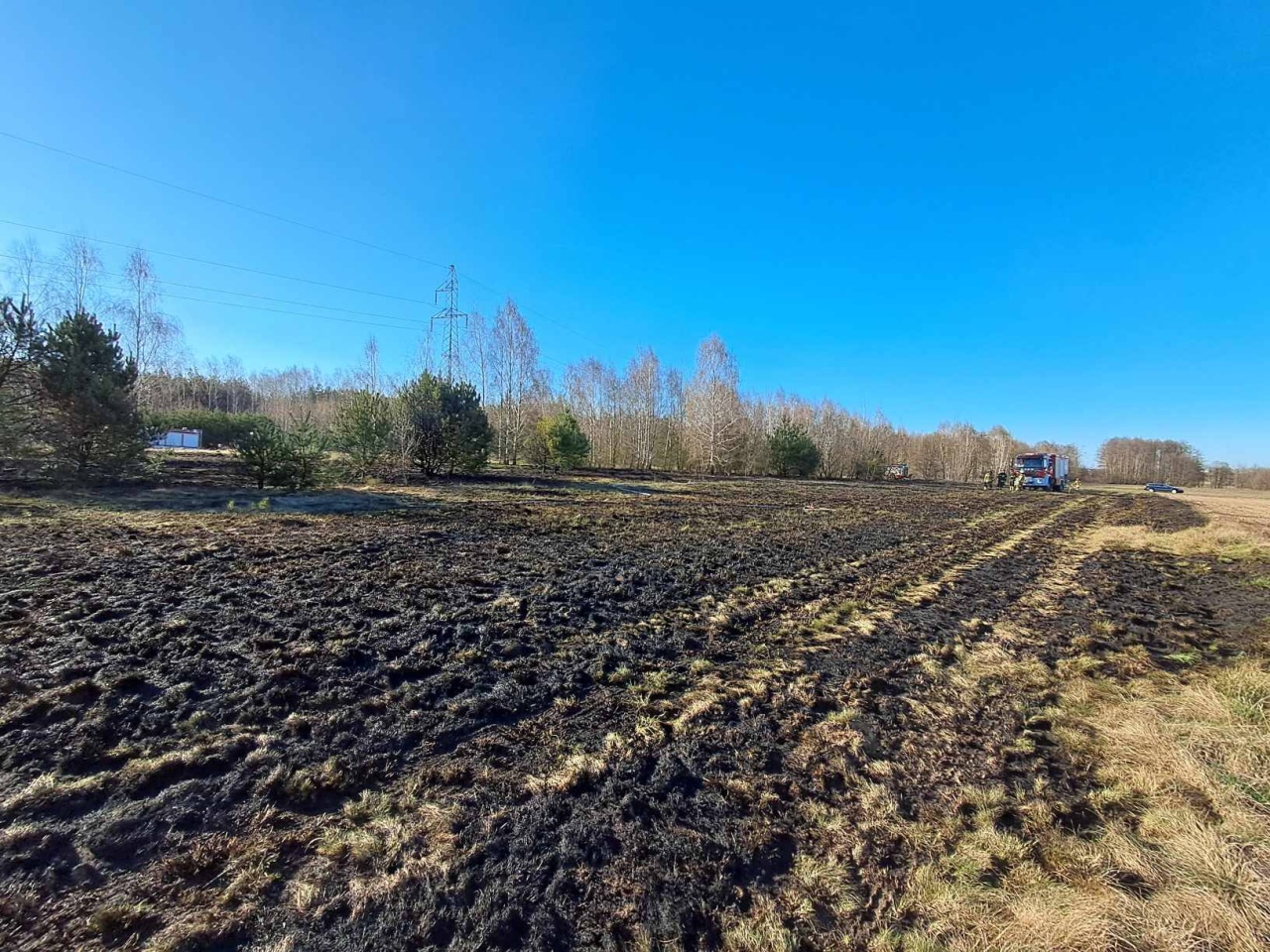 Ogromny pożar traw w Pasiekach [03.04.2025] - zdjęcie #2 - eOstroleka.pl