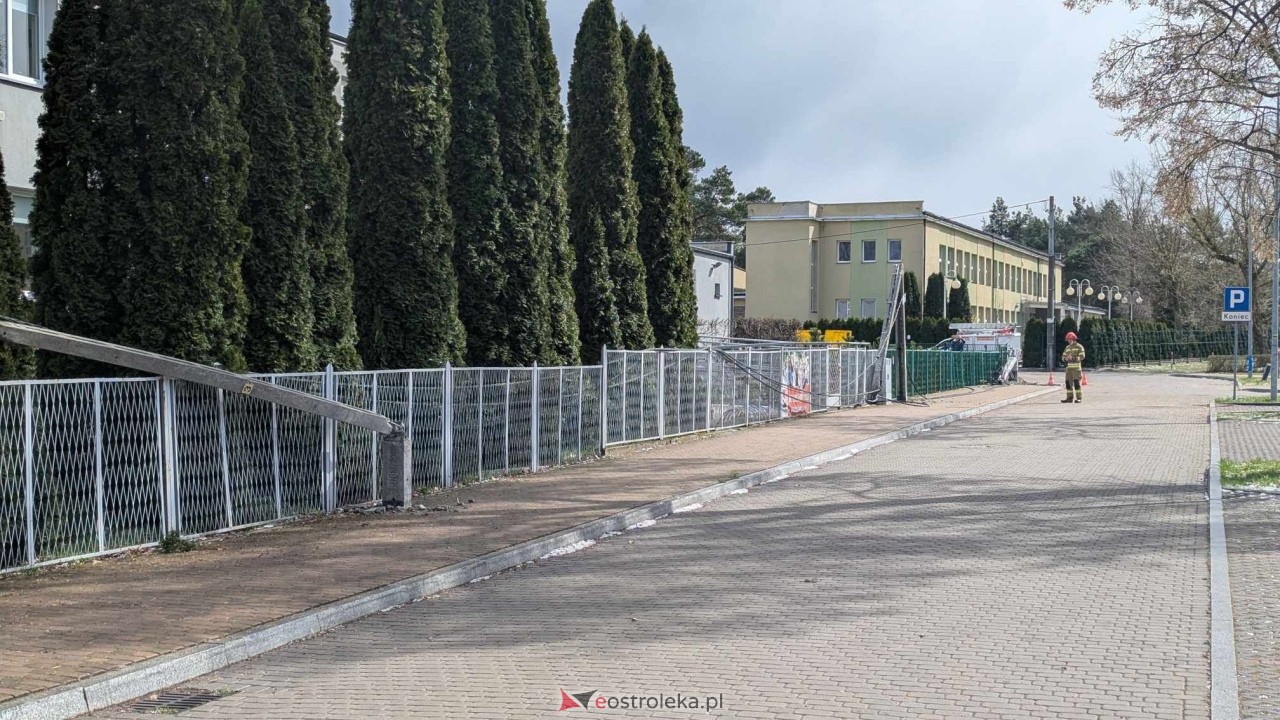 Powalone drzewo na Alei Wojska Polskiego [05.04.2025] - zdjęcie #85 - eOstroleka.pl