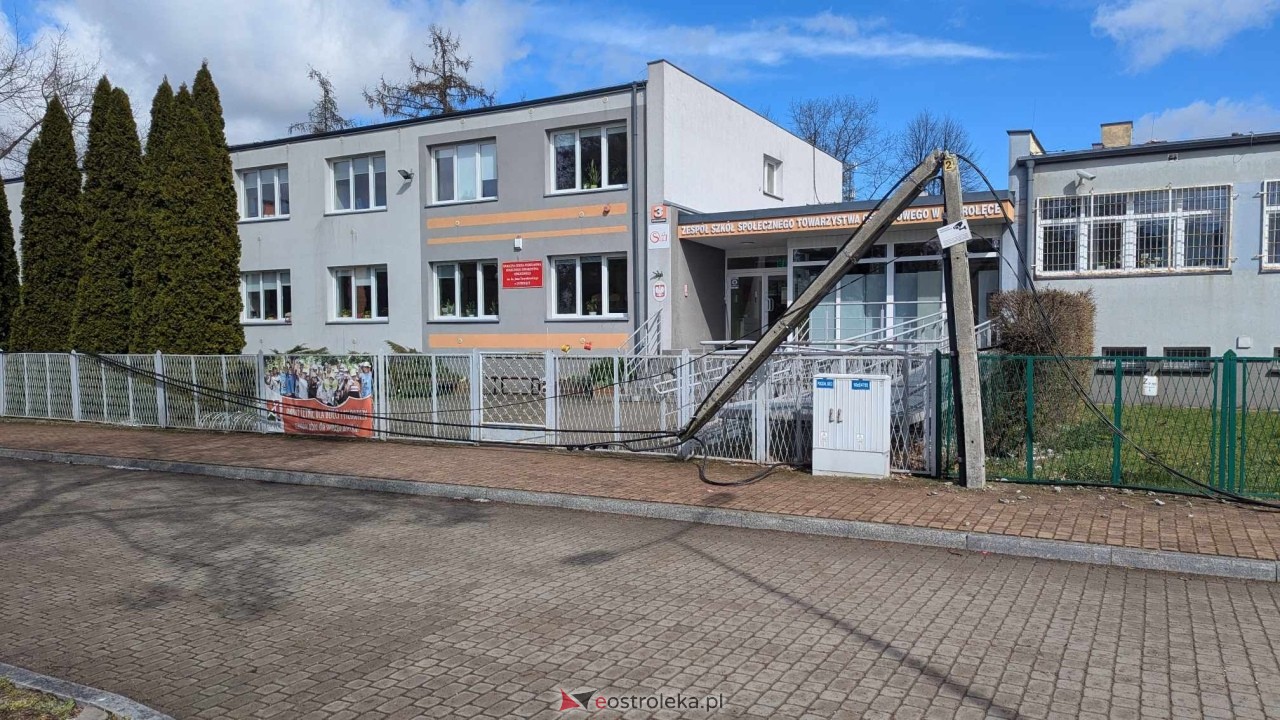 Powalone drzewo na Alei Wojska Polskiego [05.04.2025] - zdjęcie #77 - eOstroleka.pl