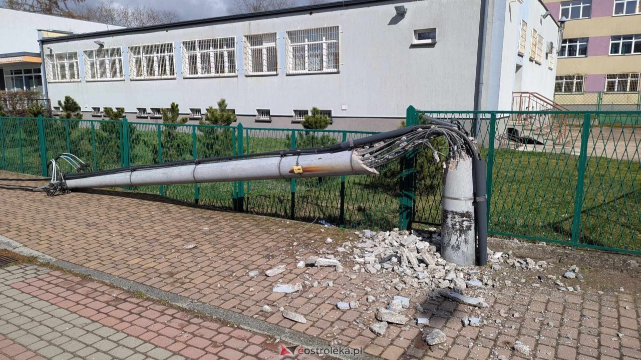 Powalone drzewo na Alei Wojska Polskiego [05.04.2025] - zdjęcie #74 - eOstroleka.pl