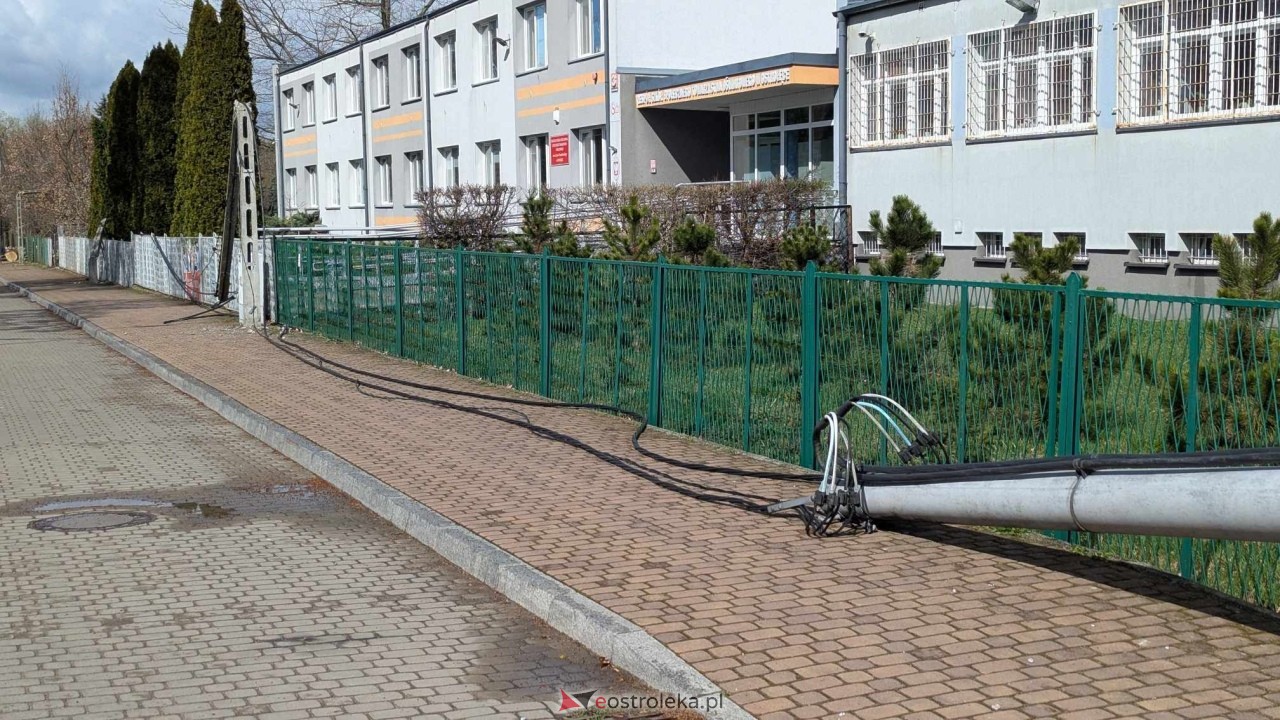 Powalone drzewo na Alei Wojska Polskiego [05.04.2025] - zdjęcie #73 - eOstroleka.pl