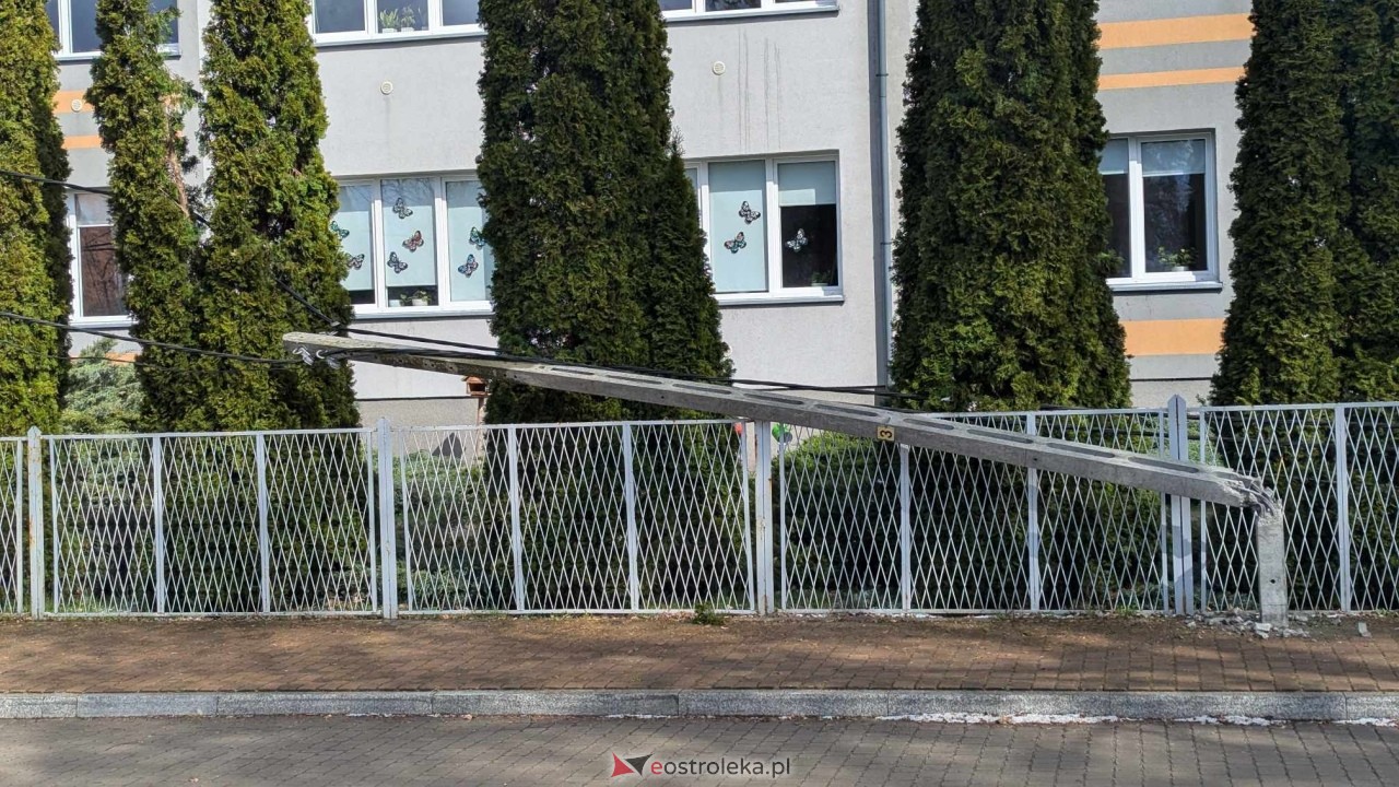 Powalone drzewo na Alei Wojska Polskiego [05.04.2025] - zdjęcie #68 - eOstroleka.pl
