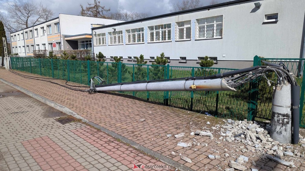 Powalone drzewo na Alei Wojska Polskiego [05.04.2025] - zdjęcie #63 - eOstroleka.pl