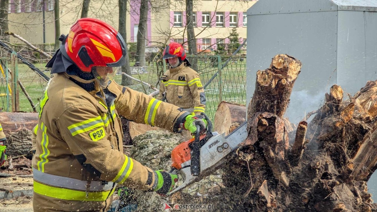 Powalone drzewo na Alei Wojska Polskiego [05.04.2025] - zdjęcie #60 - eOstroleka.pl