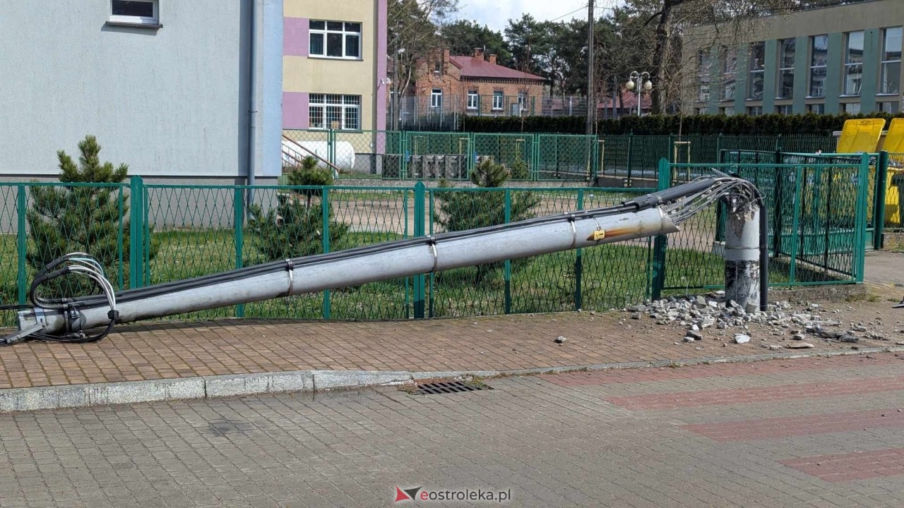 Powalone drzewo na Alei Wojska Polskiego [05.04.2025] - zdjęcie #56 - eOstroleka.pl