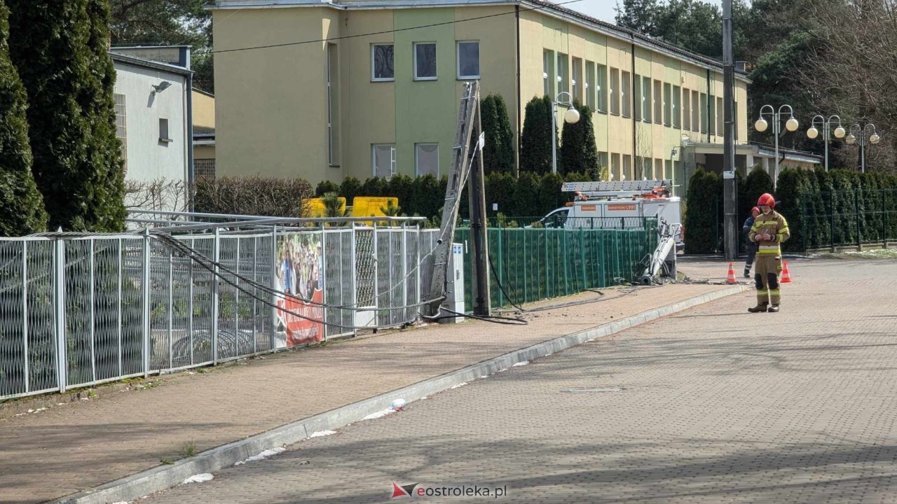 Powalone drzewo na Alei Wojska Polskiego [05.04.2025] - zdjęcie #49 - eOstroleka.pl