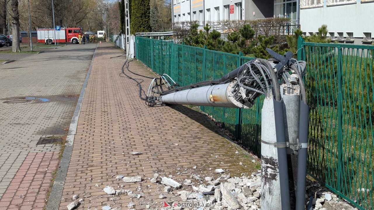 Powalone drzewo na Alei Wojska Polskiego [05.04.2025] - zdjęcie #45 - eOstroleka.pl