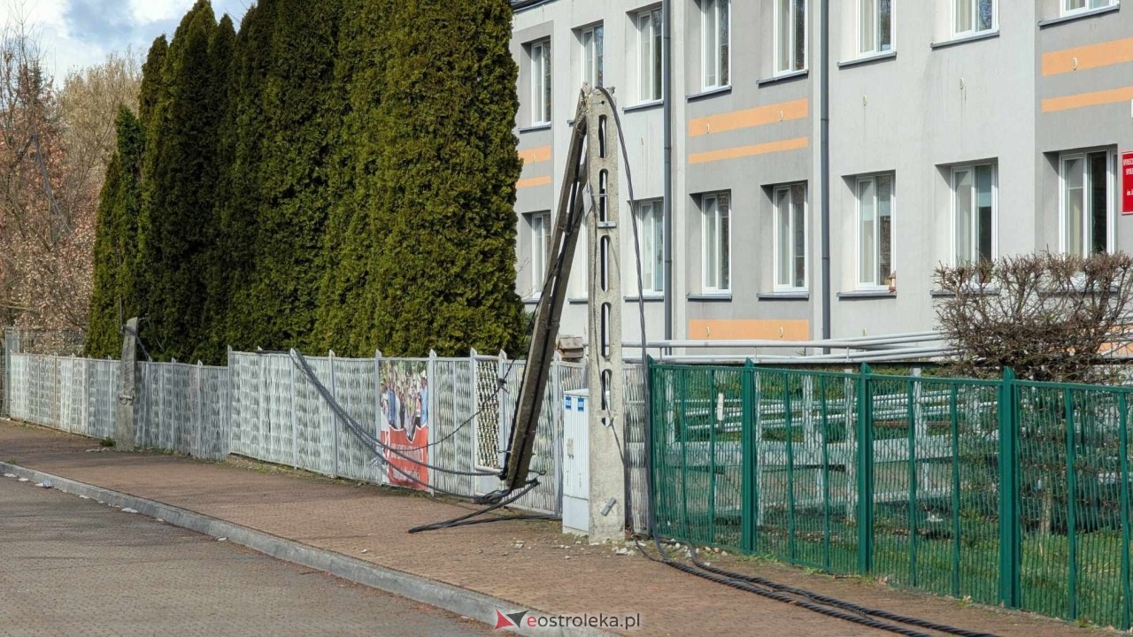 Powalone drzewo na Alei Wojska Polskiego [05.04.2025] - zdjęcie #35 - eOstroleka.pl