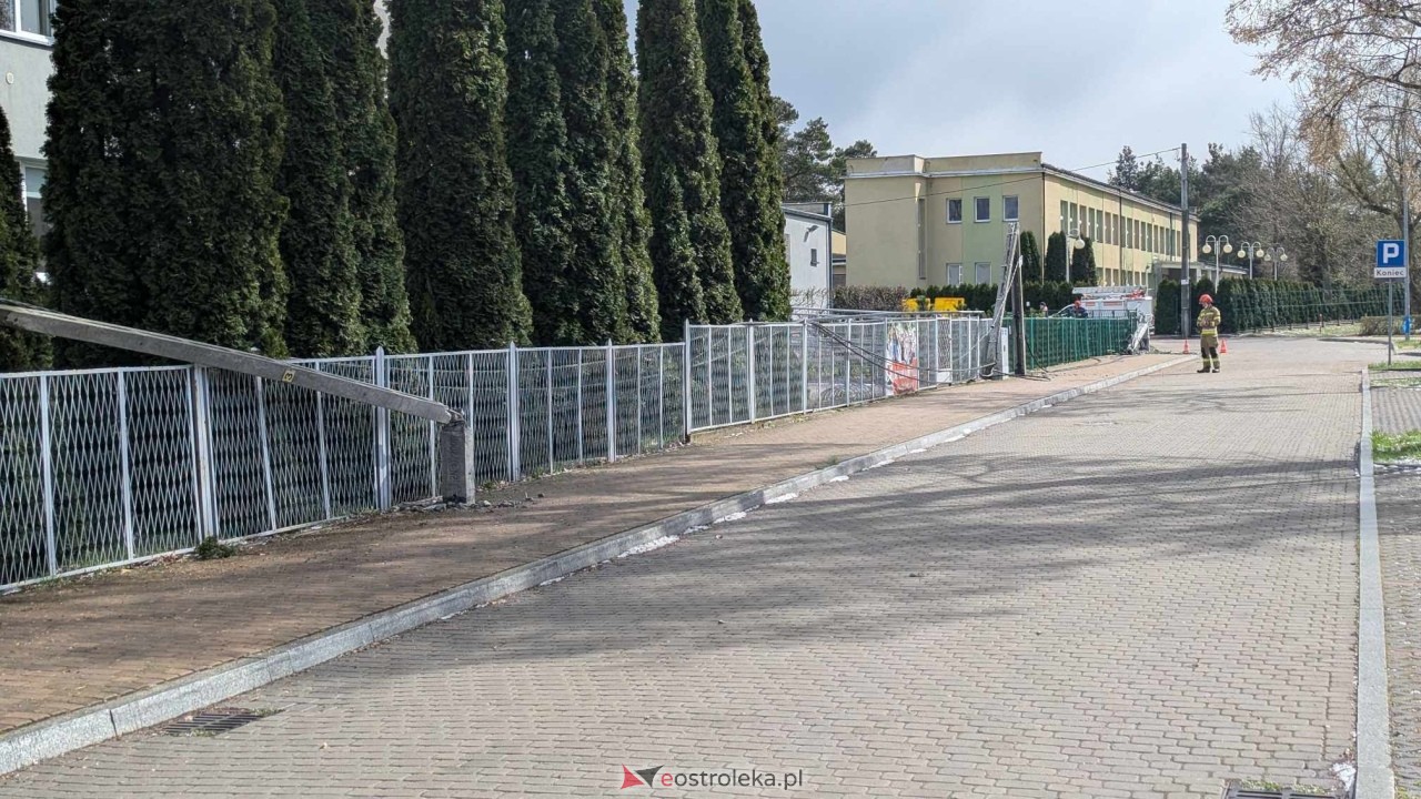 Powalone drzewo na Alei Wojska Polskiego [05.04.2025] - zdjęcie #32 - eOstroleka.pl