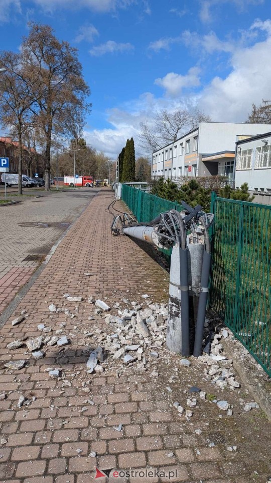 Powalone drzewo na Alei Wojska Polskiego [05.04.2025] - zdjęcie #31 - eOstroleka.pl