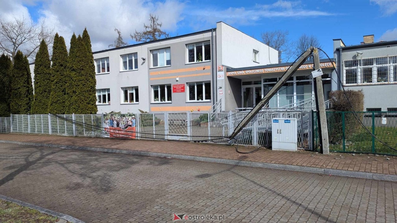 Powalone drzewo na Alei Wojska Polskiego [05.04.2025] - zdjęcie #29 - eOstroleka.pl