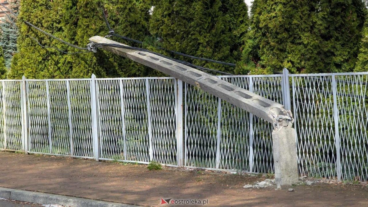 Powalone drzewo na Alei Wojska Polskiego [05.04.2025] - zdjęcie #20 - eOstroleka.pl