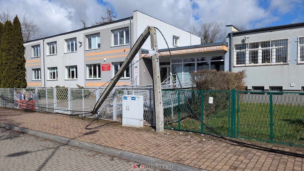 Powalone drzewo na Alei Wojska Polskiego [05.04.2025] - zdjęcie #10 - eOstroleka.pl
