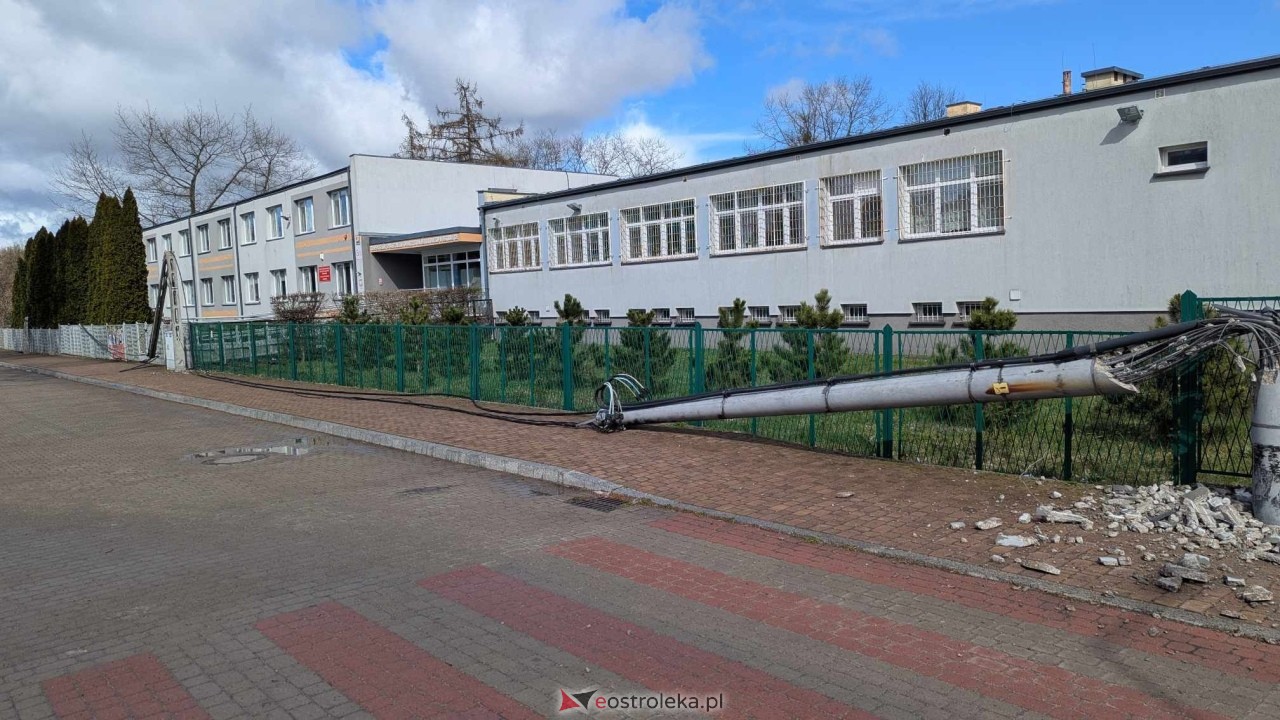 Powalone drzewo na Alei Wojska Polskiego [05.04.2025] - zdjęcie #1 - eOstroleka.pl