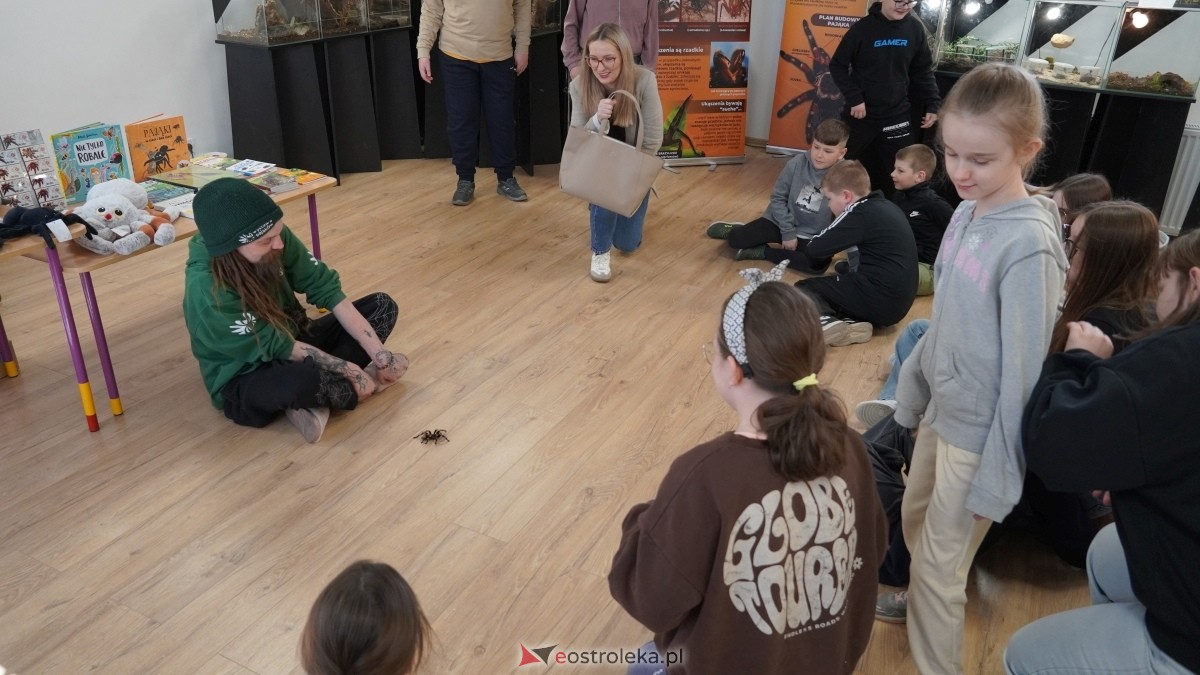 Wystawa pająków w Kadzidle [08.04.2025] - zdjęcie #65 - eOstroleka.pl