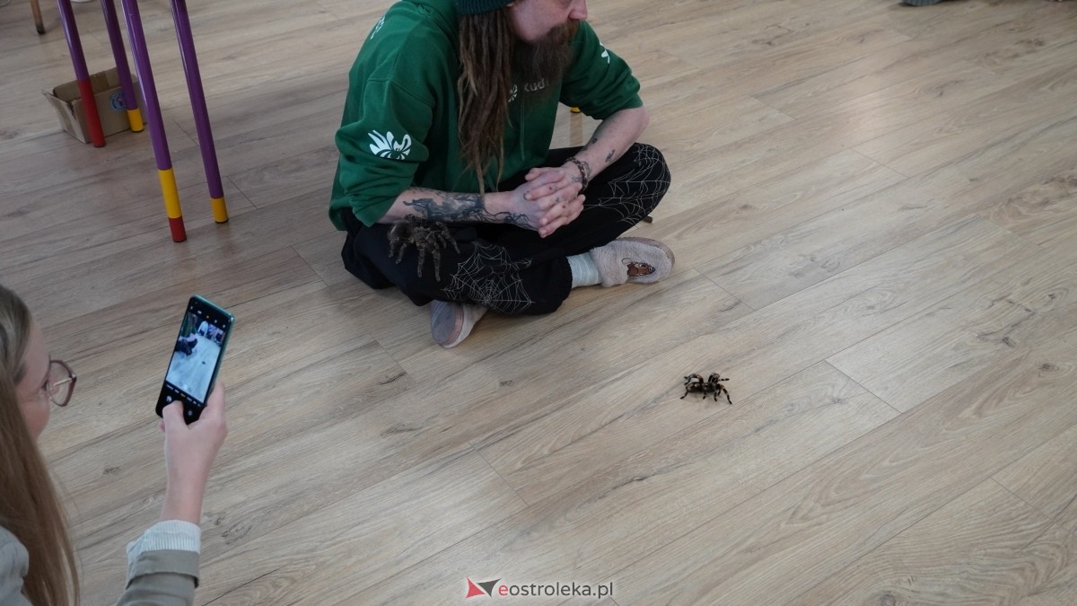 Wystawa pająków w Kadzidle [08.04.2025] - zdjęcie #59 - eOstroleka.pl