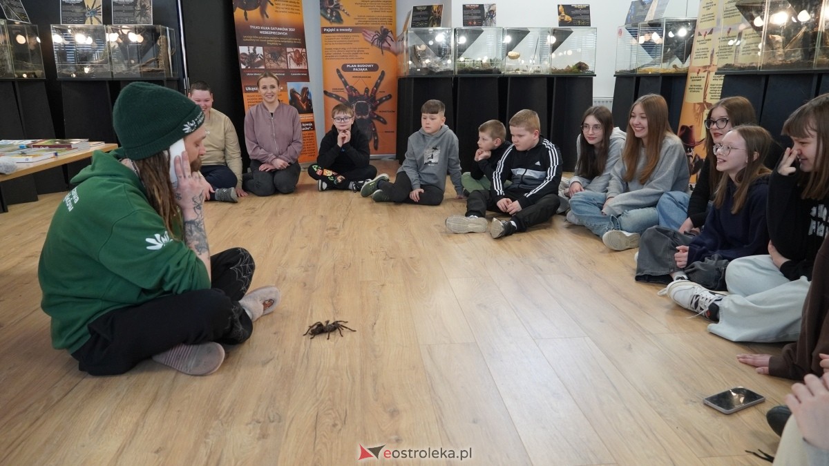 Wystawa pająków w Kadzidle [08.04.2025] - zdjęcie #56 - eOstroleka.pl