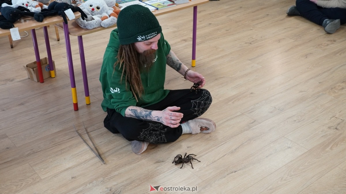 Wystawa pająków w Kadzidle [08.04.2025] - zdjęcie #38 - eOstroleka.pl