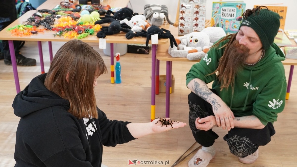 Wystawa pająków w Kadzidle [08.04.2025] - zdjęcie #19 - eOstroleka.pl