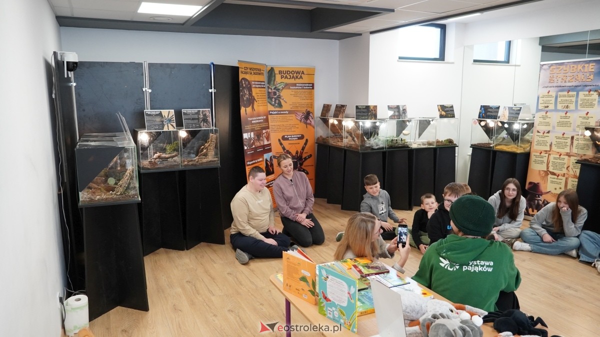 Wystawa pająków w Kadzidle [08.04.2025] - zdjęcie #11 - eOstroleka.pl