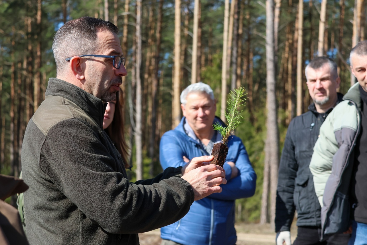 Akcja sadzenia drzew w leśnictwie Dąbrówka w gminie Lelis [08.04.2025] - zdjęcie #15 - eOstroleka.pl