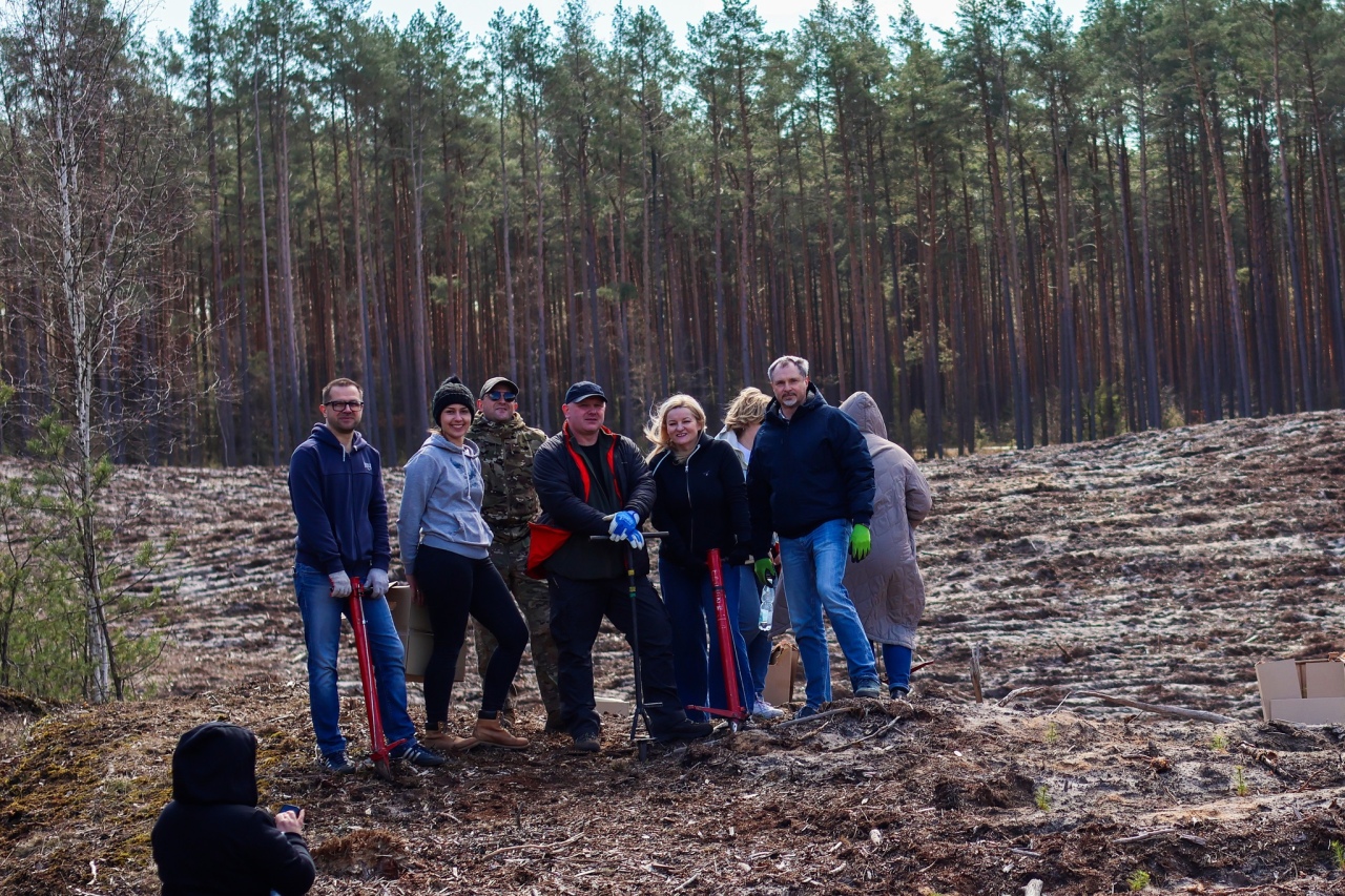Akcja sadzenia drzew w leśnictwie Dąbrówka w gminie Lelis [08.04.2025] - zdjęcie #13 - eOstroleka.pl