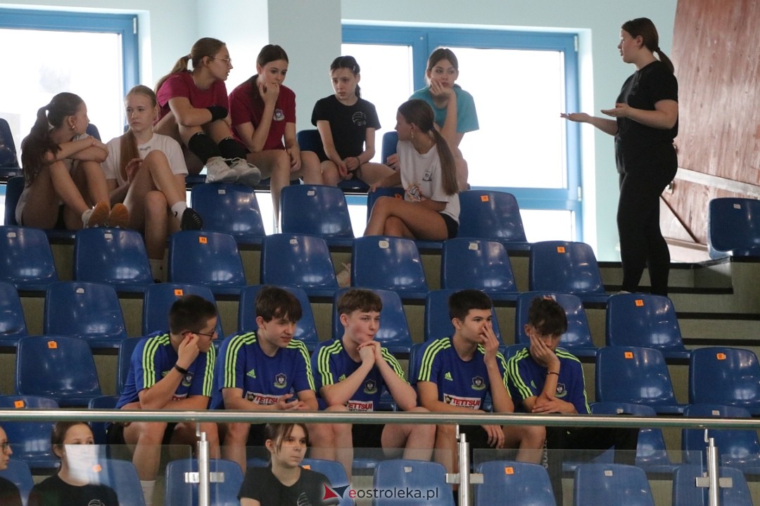 Norwidiada 2025 w Ostrołęce [9.04.2025] - zdjęcie #33 - eOstroleka.pl