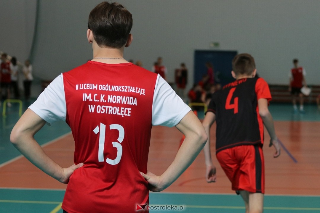 Norwidiada 2025 w Ostrołęce [9.04.2025] - zdjęcie #9 - eOstroleka.pl