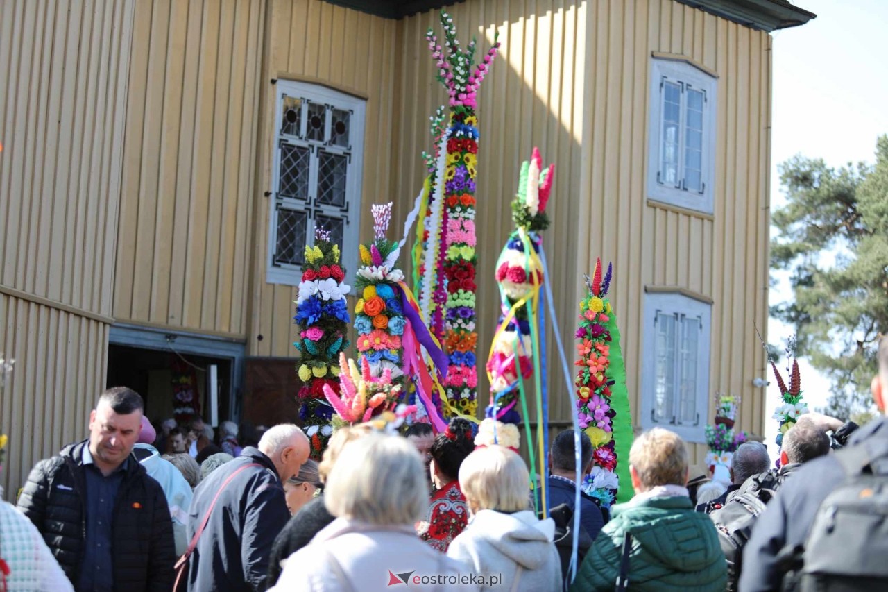 Niedziela Palmowa 2025 w Łysych [13.04.2025] - zdjęcie #562 - eOstroleka.pl