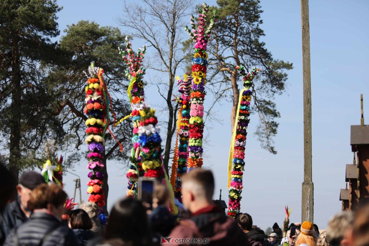 Niedziela Palmowa 2025 w Łysych [13.04.2025] - zdjęcie #555 - eOstroleka.pl