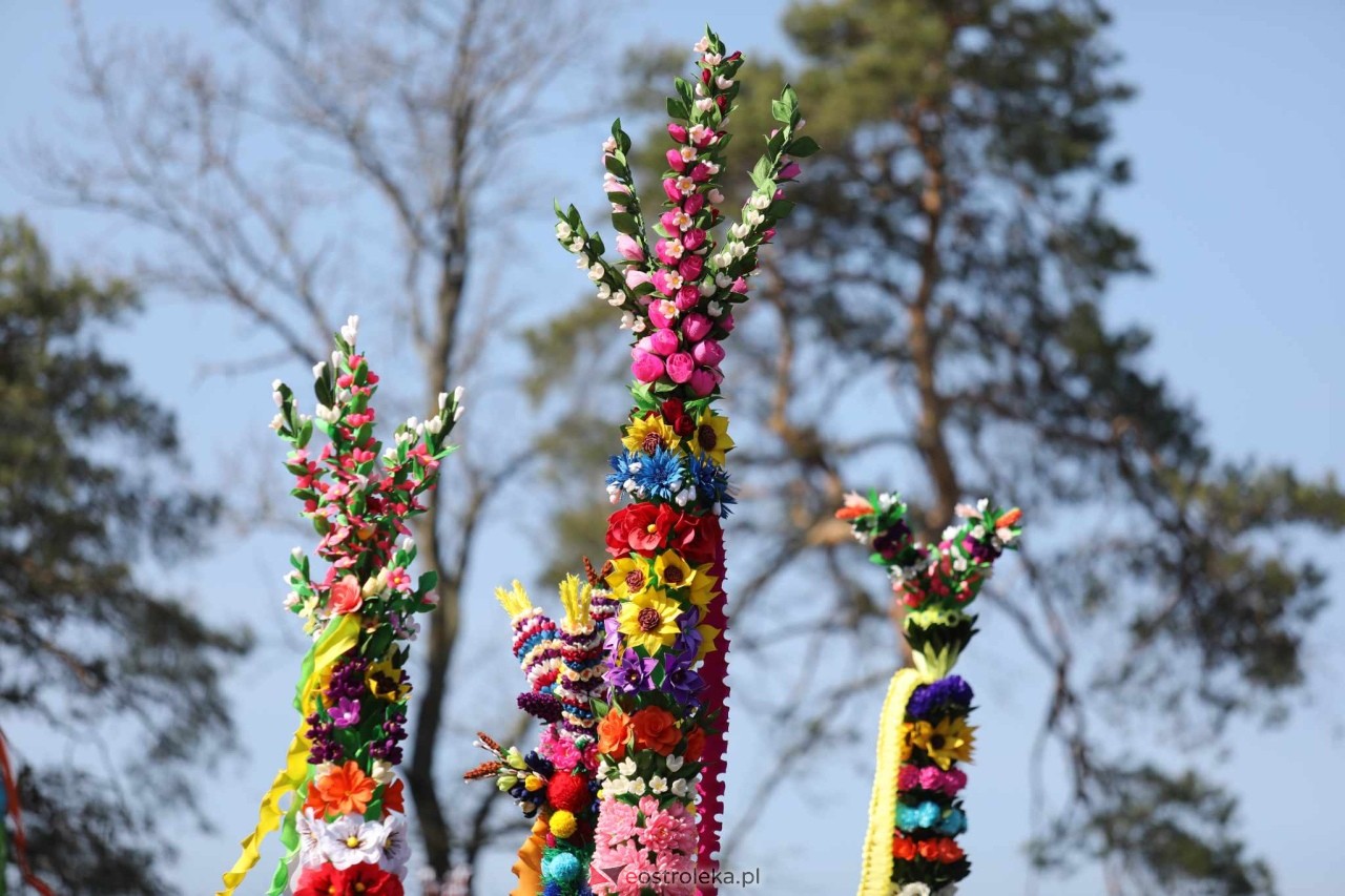 Niedziela Palmowa 2025 w Łysych [13.04.2025] - zdjęcie #552 - eOstroleka.pl