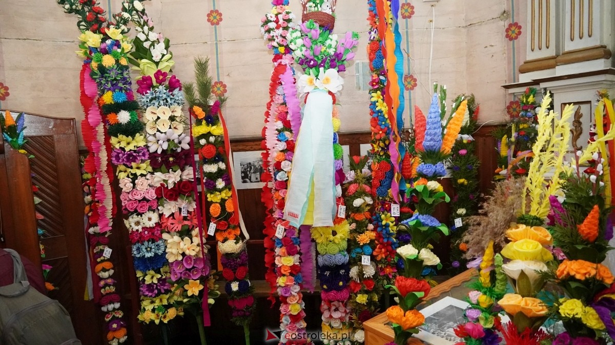 Niedziela Palmowa 2025 w Łysych [13.04.2025] - zdjęcie #534 - eOstroleka.pl