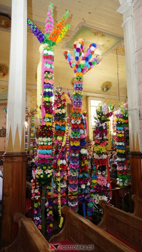 Niedziela Palmowa 2025 w Łysych [13.04.2025] - zdjęcie #533 - eOstroleka.pl
