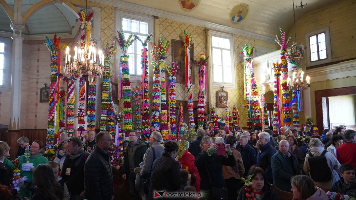 Niedziela Palmowa 2025 w Łysych [13.04.2025] - zdjęcie #531 - eOstroleka.pl