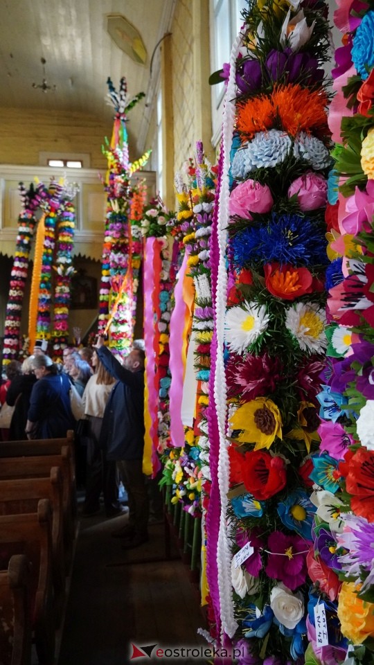 Niedziela Palmowa 2025 w Łysych [13.04.2025] - zdjęcie #528 - eOstroleka.pl