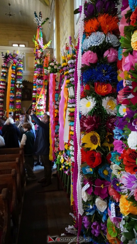 Niedziela Palmowa 2025 w Łysych [13.04.2025] - zdjęcie #527 - eOstroleka.pl