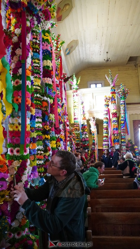 Niedziela Palmowa 2025 w Łysych [13.04.2025] - zdjęcie #519 - eOstroleka.pl