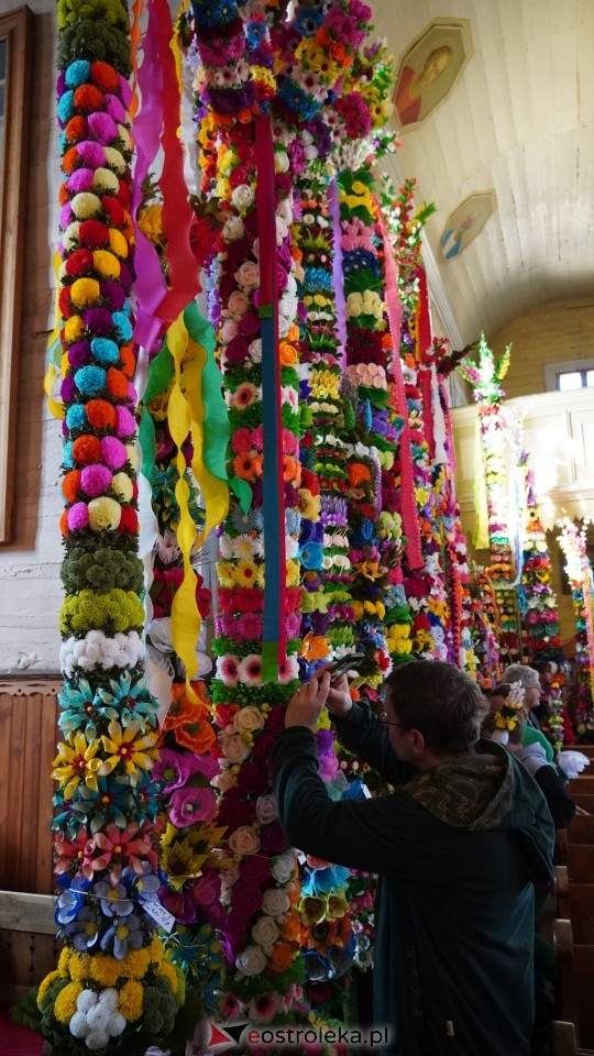 Niedziela Palmowa 2025 w Łysych [13.04.2025] - zdjęcie #518 - eOstroleka.pl