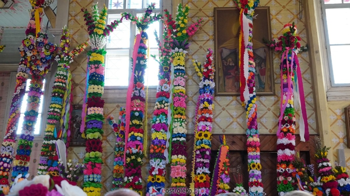 Niedziela Palmowa 2025 w Łysych [13.04.2025] - zdjęcie #499 - eOstroleka.pl