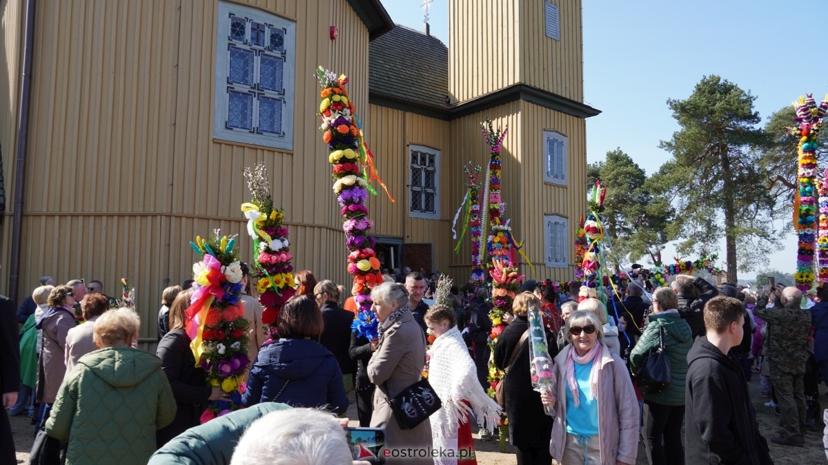 Niedziela Palmowa 2025 w Łysych [13.04.2025] - zdjęcie #456 - eOstroleka.pl
