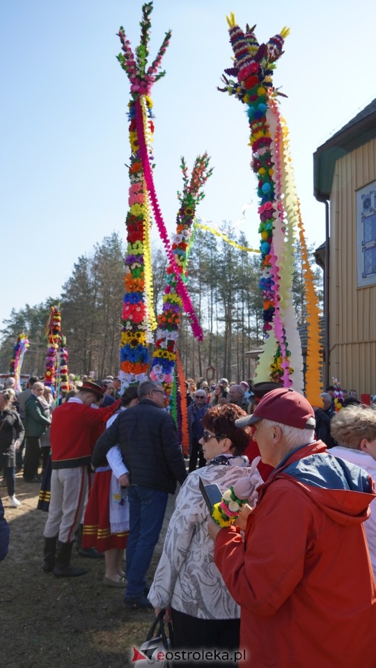 Niedziela Palmowa 2025 w Łysych [13.04.2025] - zdjęcie #451 - eOstroleka.pl
