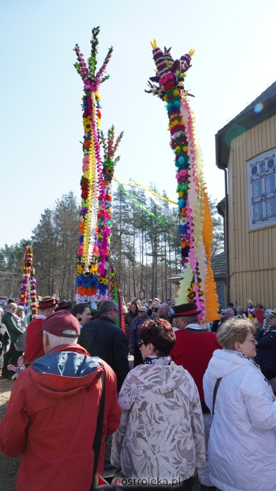 Niedziela Palmowa 2025 w Łysych [13.04.2025] - zdjęcie #450 - eOstroleka.pl
