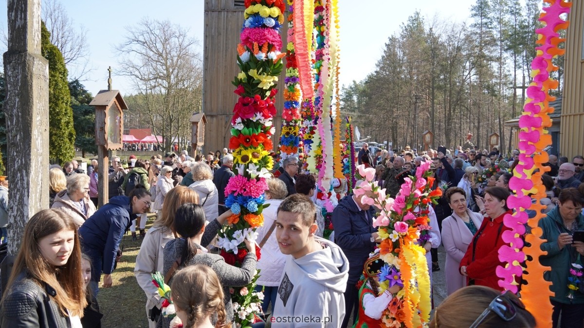 Niedziela Palmowa 2025 w Łysych [13.04.2025] - zdjęcie #445 - eOstroleka.pl