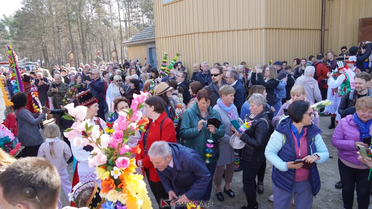 Niedziela Palmowa 2025 w Łysych [13.04.2025] - zdjęcie #441 - eOstroleka.pl